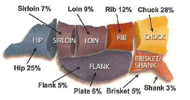 Understanding the Whole Steer